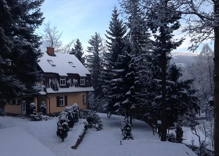 Decor Park Appartement *