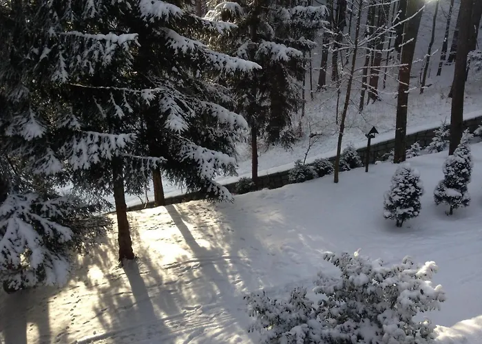 Decor Park Appartement